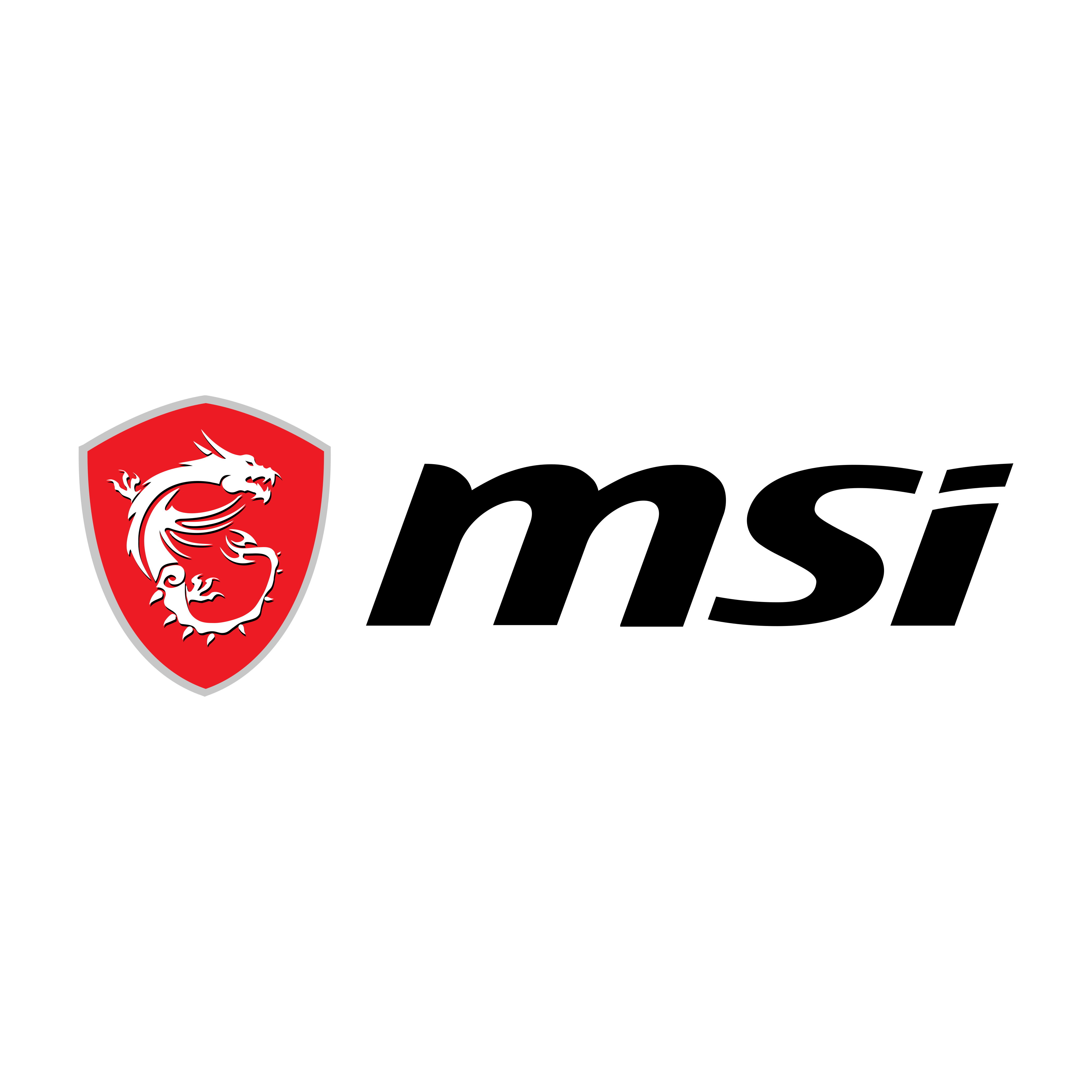 MSI 标志 PNG。.