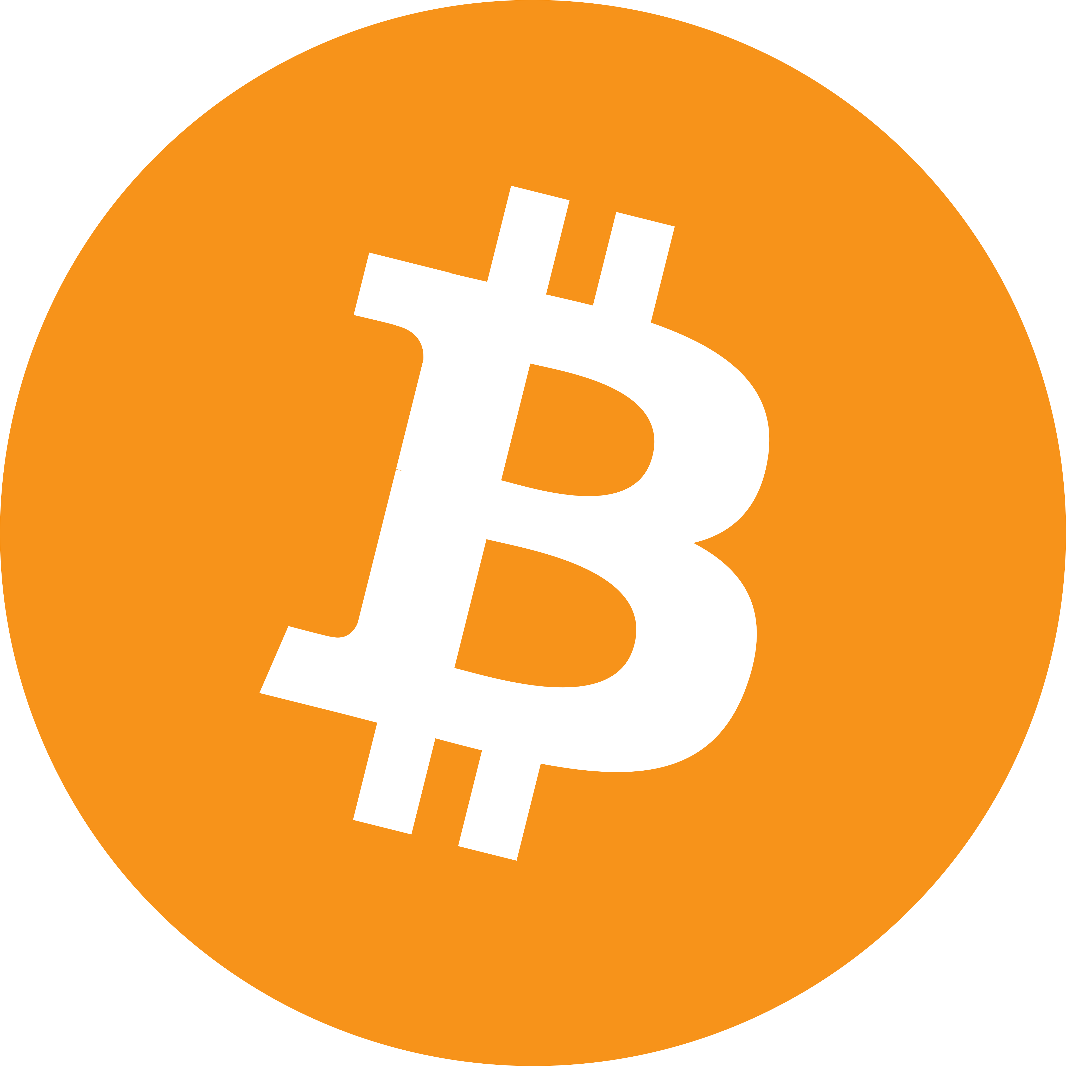 Bitcoin Logo.