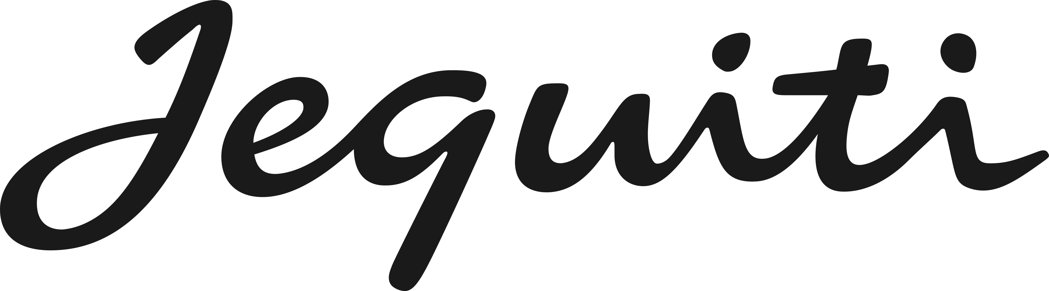 jequiti logo.