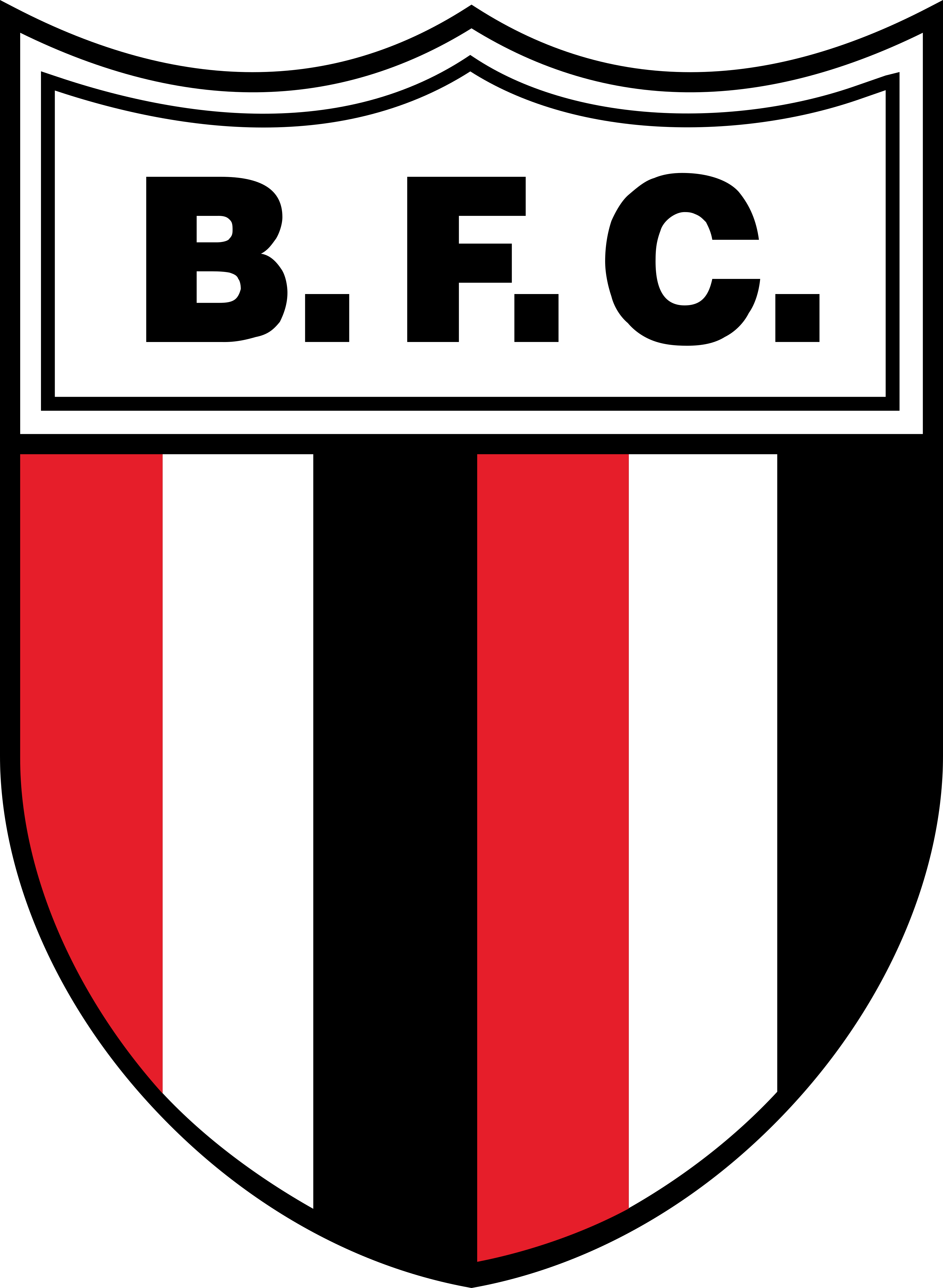 Botafogo SP logo escudo.