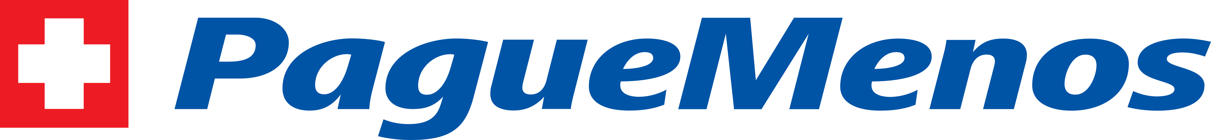 Pague Menos Logo.