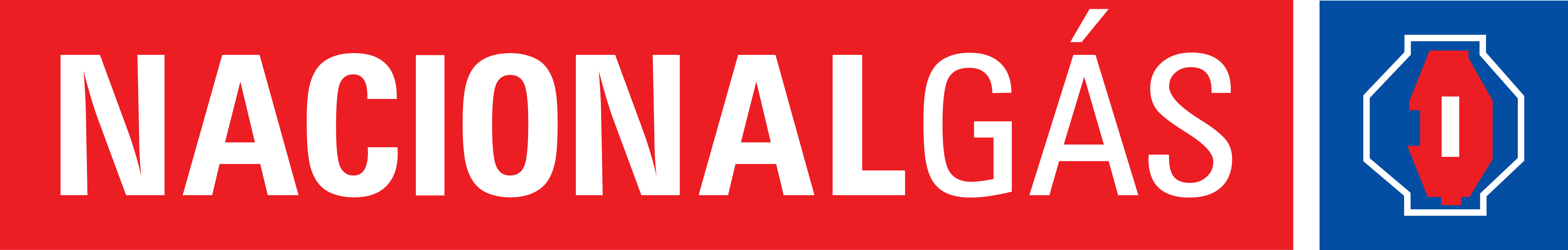 Nacional Gás Logo.