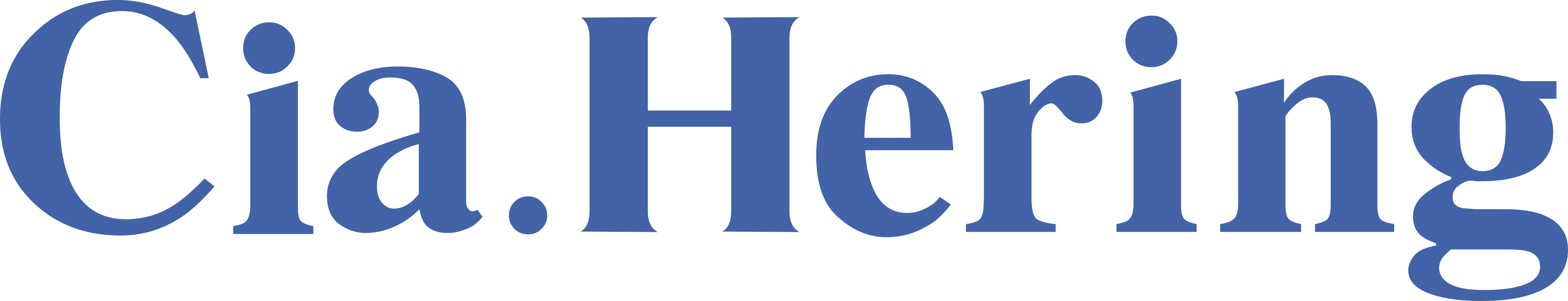 Cia. Hering S.A Logo.